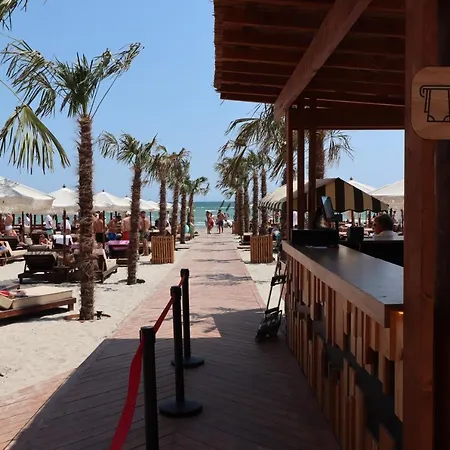 Honey Studio